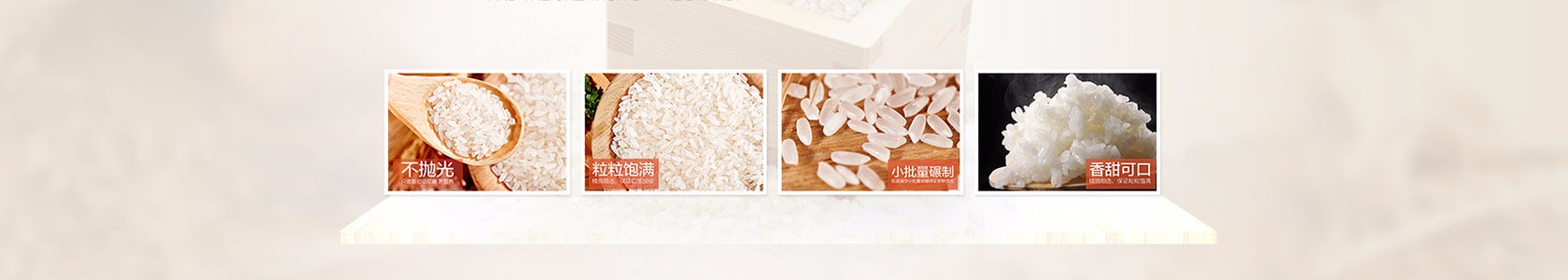 上海市浦东新区鼎盛网络有限公司